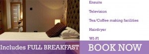 superior Double Twin hotel room cookstown
